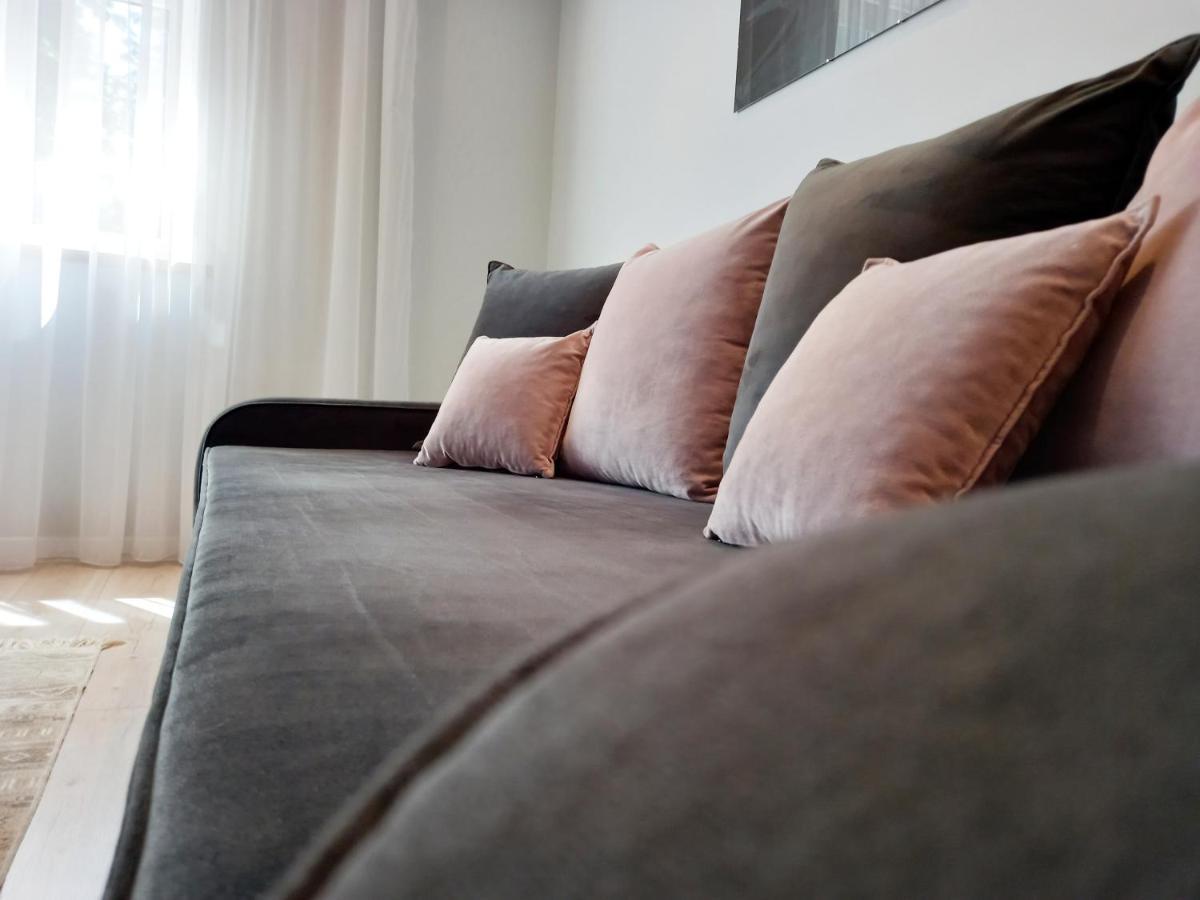 Klaipeda City Center Apartment المظهر الخارجي الصورة