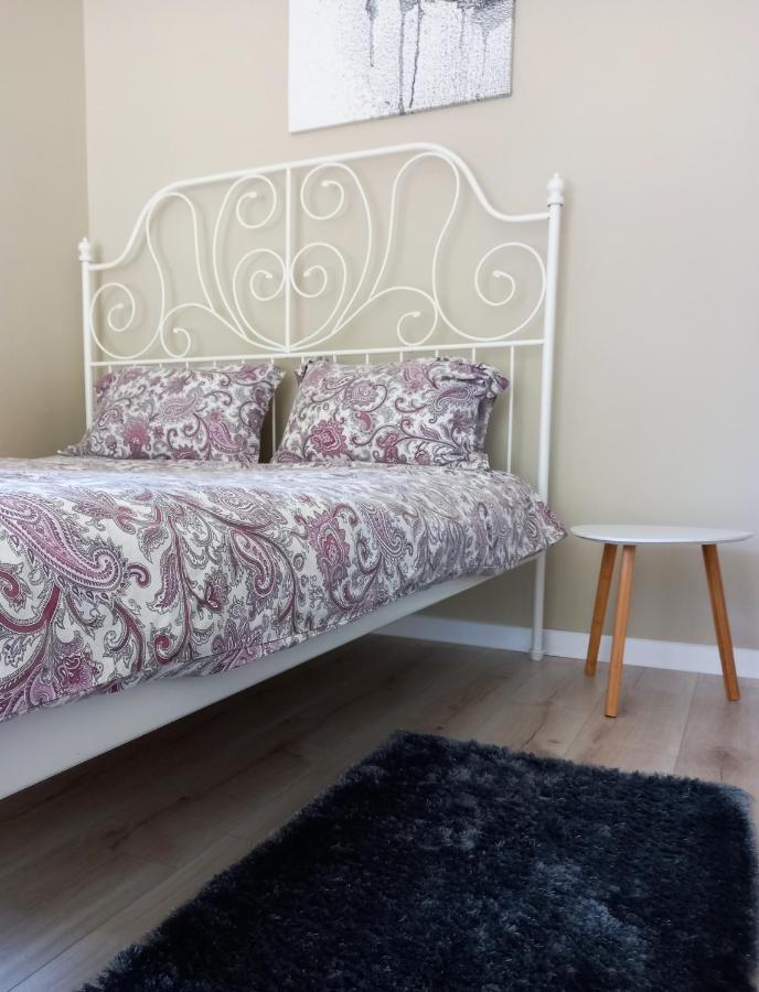 Klaipeda City Center Apartment المظهر الخارجي الصورة